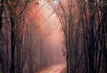 28国际官网：这一脚绝对是年度最佳，耶稣来了都扛不住，但这个男人站到了最后.