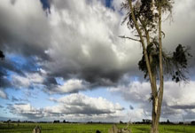 [欧冠]E组第4轮：马德里竞技VS凯尔特人.