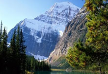 3000万，曼联促师徒三聚首？特林康或许值得红魔期待！.